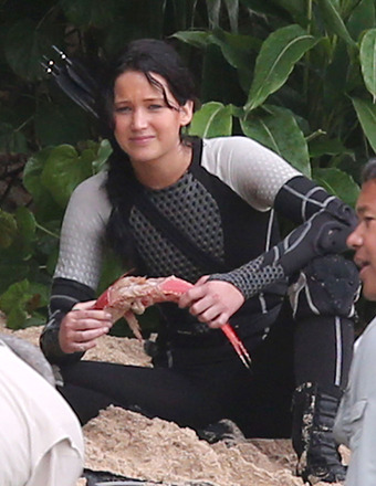 FFN_ZEAP_HungerGames_112712_50956114