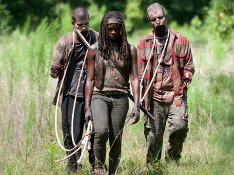michonne-1