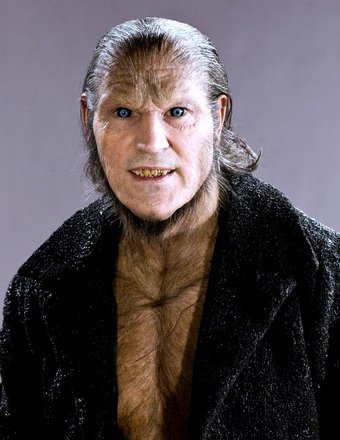 Greybackthewerewolf