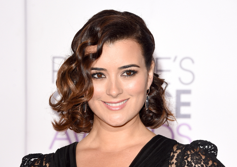 Cote de Pablo Dishes on 'The Dovekeepers,' Teases Possible 'NCIS' Return
