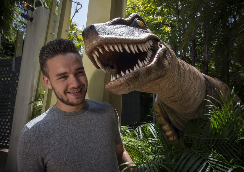 One Direction's Liam Payne Hits Universal Orlando Resort!