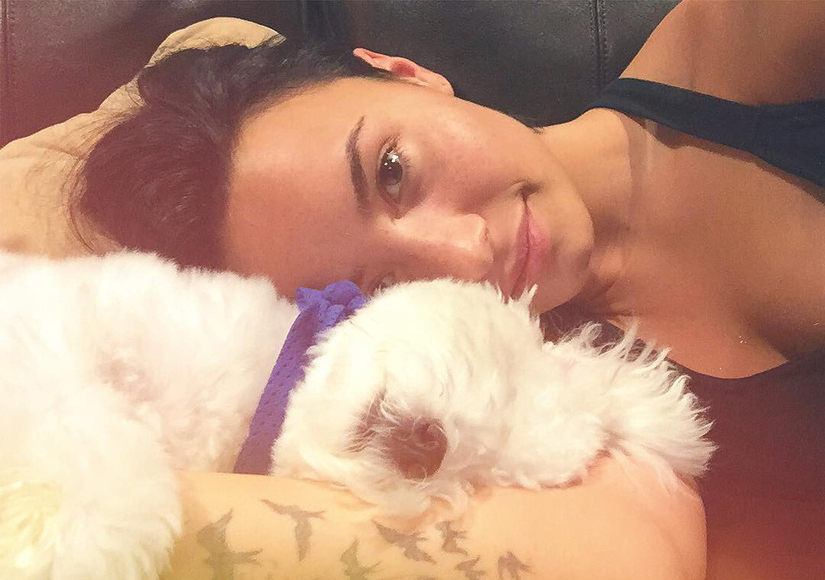 Demi Lovato's Dog Buddy Killed By Coyote