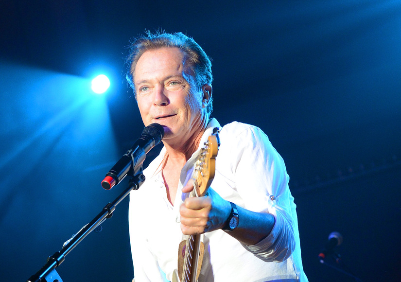 David Cassidy's Hit-and-Run Victim Tells Terrifying Account of Car Crash