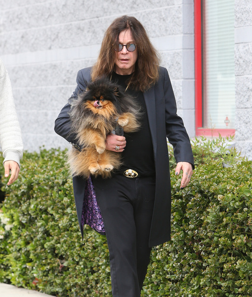 ozzy-osbourne