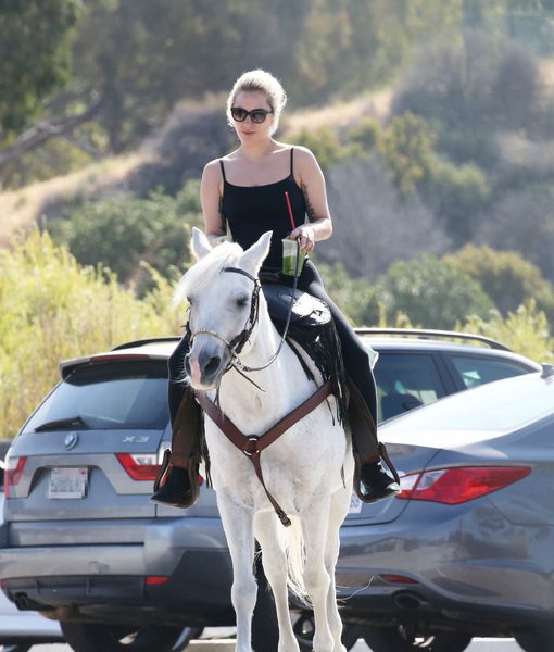 gagahorse1