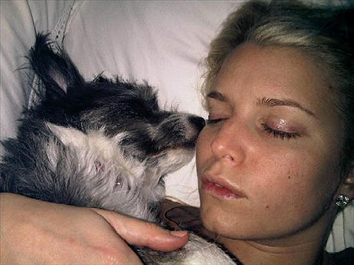 Twitter jessica simpson puppy