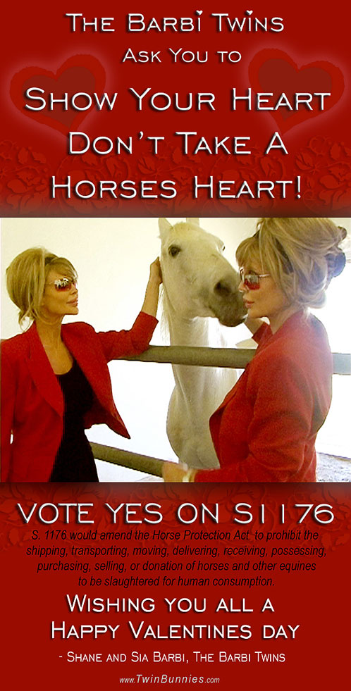 Barbi_Twins_Protect_horses.jpg