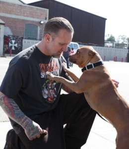 Jesse James Twitter 0217-james.jpg