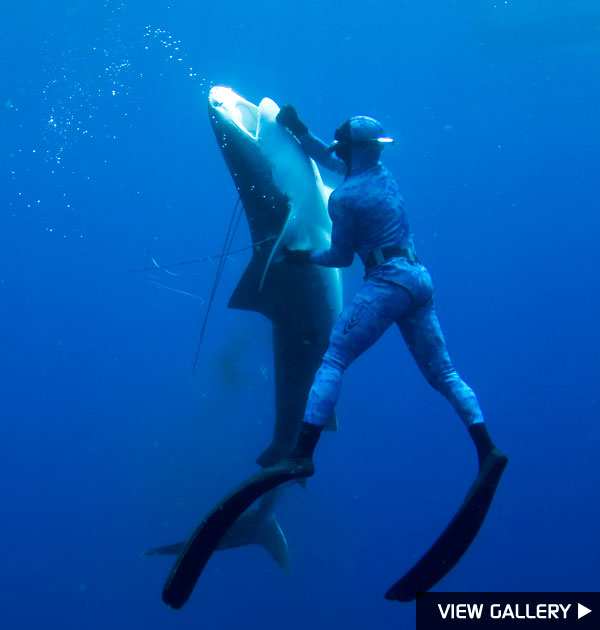 Man Beats Shark?! | ExtraTV.com