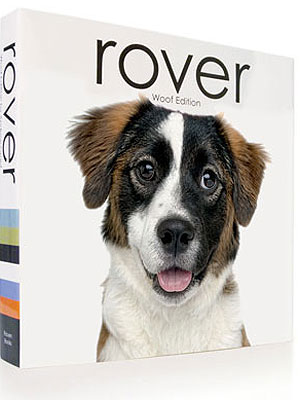 rover.jpg