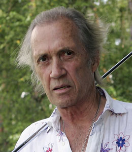 Getty Images David Carradine visited a sex shop