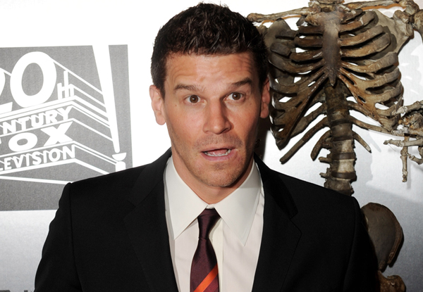 Getty Images david boreanaz