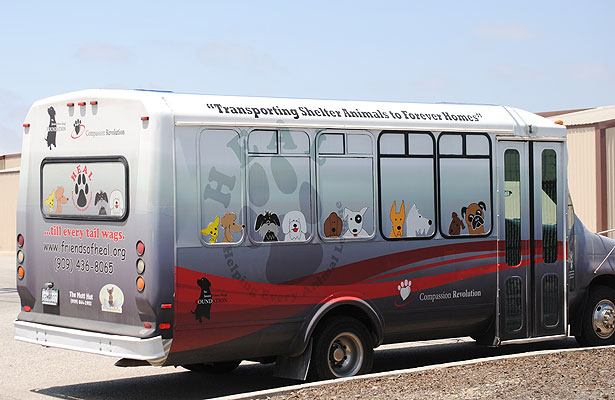 heal-bus.jpg