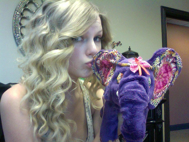 taylor swift benefit elephant auction