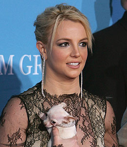 Getty Images 1029britney.jpg