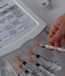 Getty Images Will You Get the Swine Flu Vaccine?
