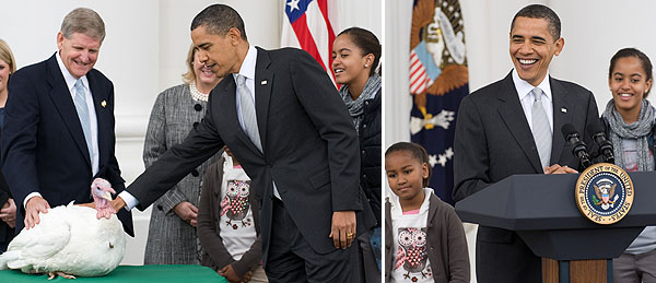 Getty Images president obama turkey pardon