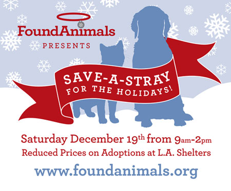 Save-A-Stray for the Holidays