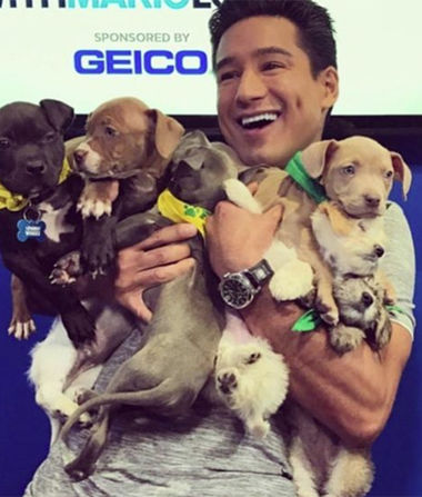Stars with Adorable Puppies