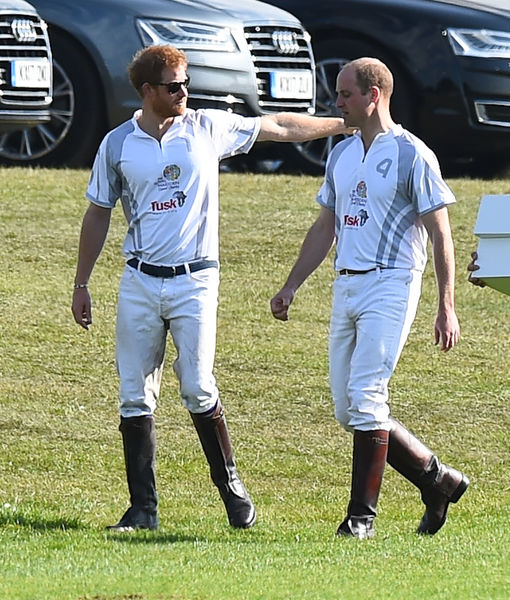 prince-harry-prince-william-splash