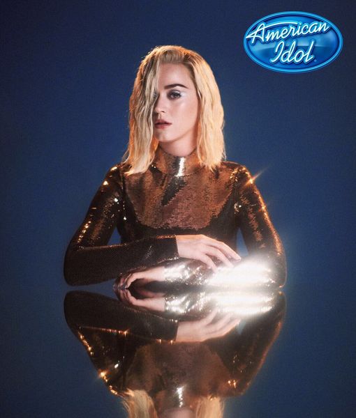 Resultado de imagen para american idol KATY PERRY TWITTER