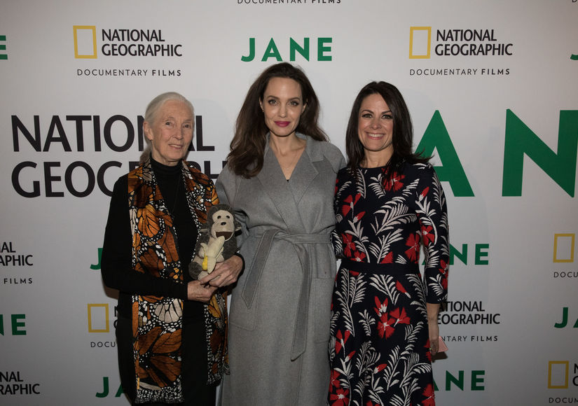 Angelina-jane.JPG