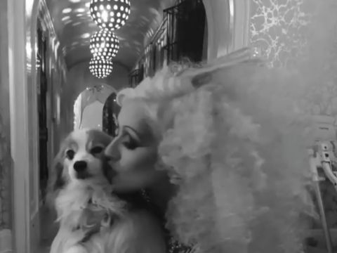 Christina Aguilera Says Goodbye to Beloved Pooch Stinky