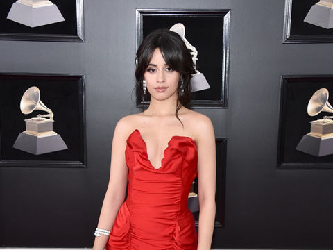 Pics! The 2018 Grammy Awards Red Carpet