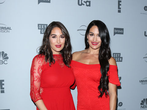 Brie Bella Talks About Nikki's