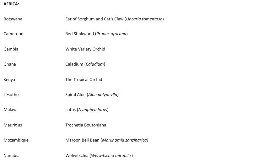 Screen Shot 2018-05-19 at 12.04.31 PM