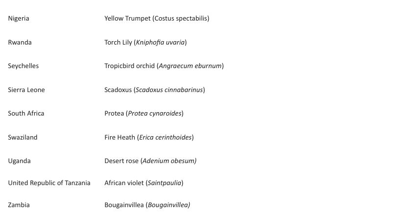 Screen Shot 2018-05-19 at 12.04.31 PM copy