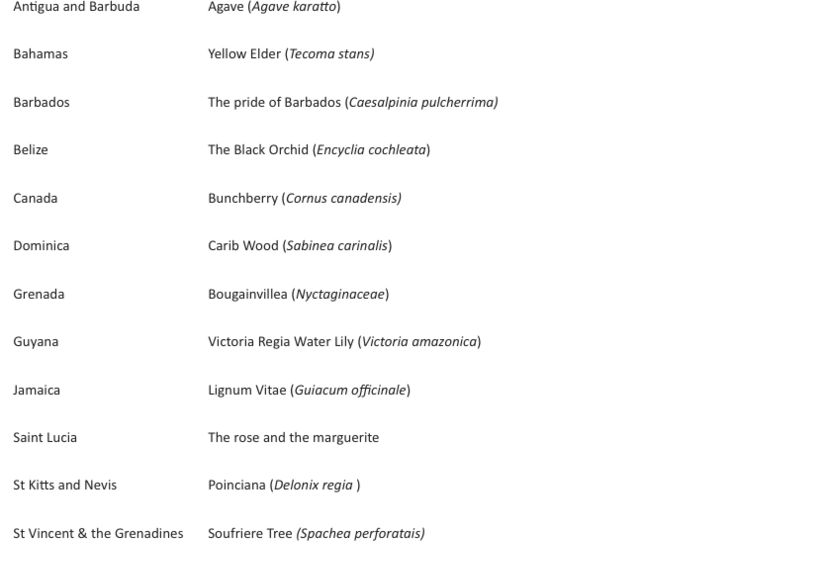 Screen Shot 2018-05-19 at 12.04.38 PM copy