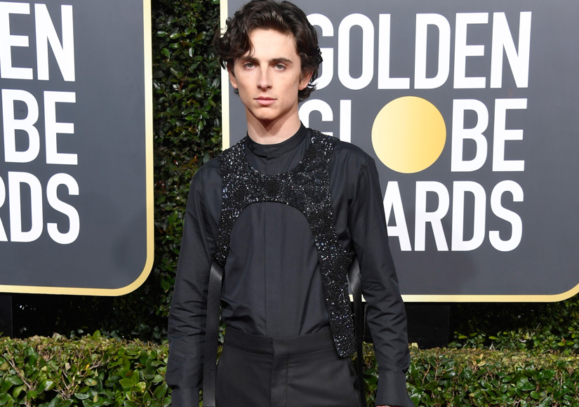 timothee-chalamet-lores-getty