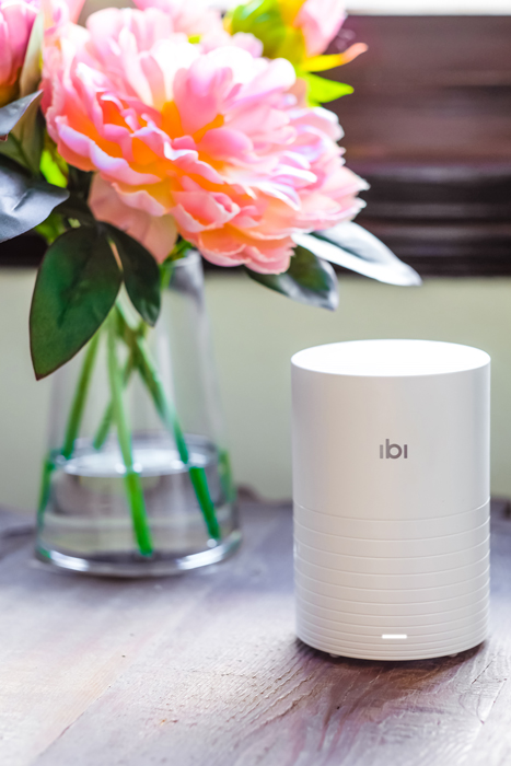 ibi-1