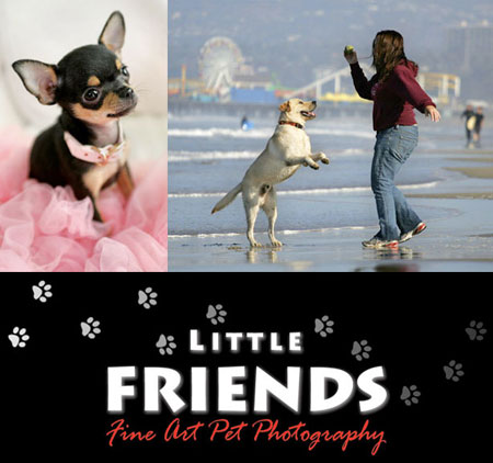 Little Friends Fine Art Pet Photography