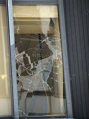 Splash News ChrisBrown-Window.jpg